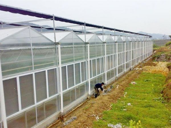 PC阳光板温室