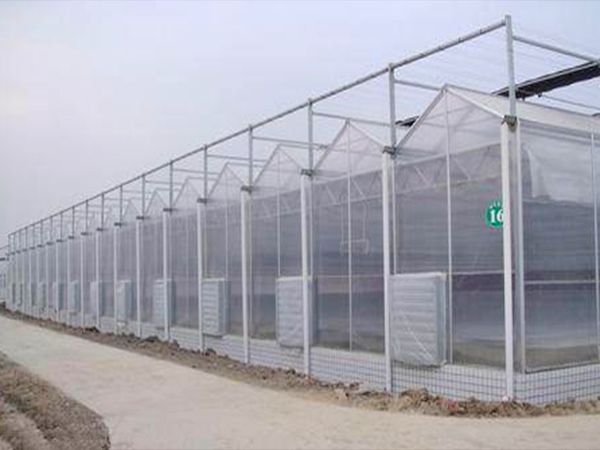 PC阳光板温室